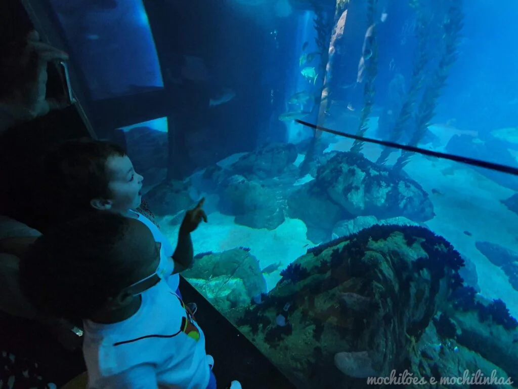 Oceanário de Lisboa
