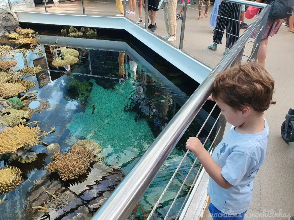 Oceanário de Lisboa