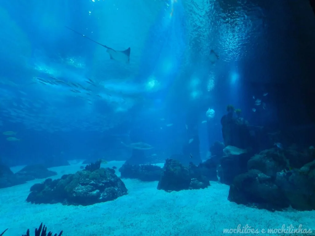 Oceanário de Lisboa