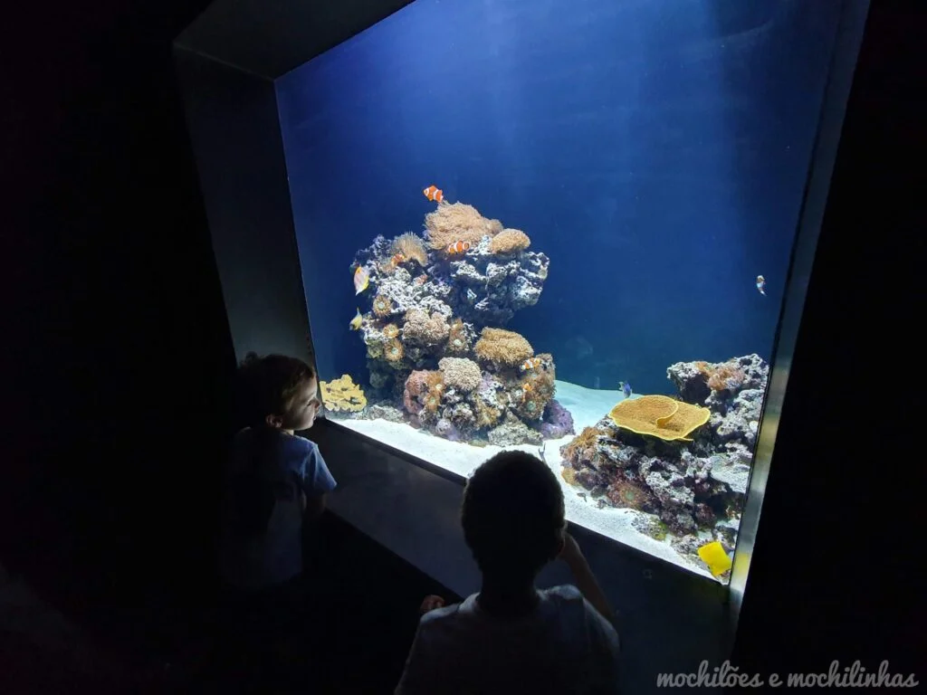 Oceanário de Lisboa